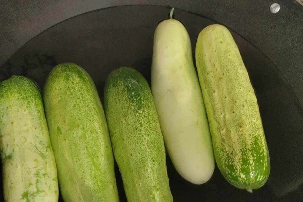 boiling-cucumber