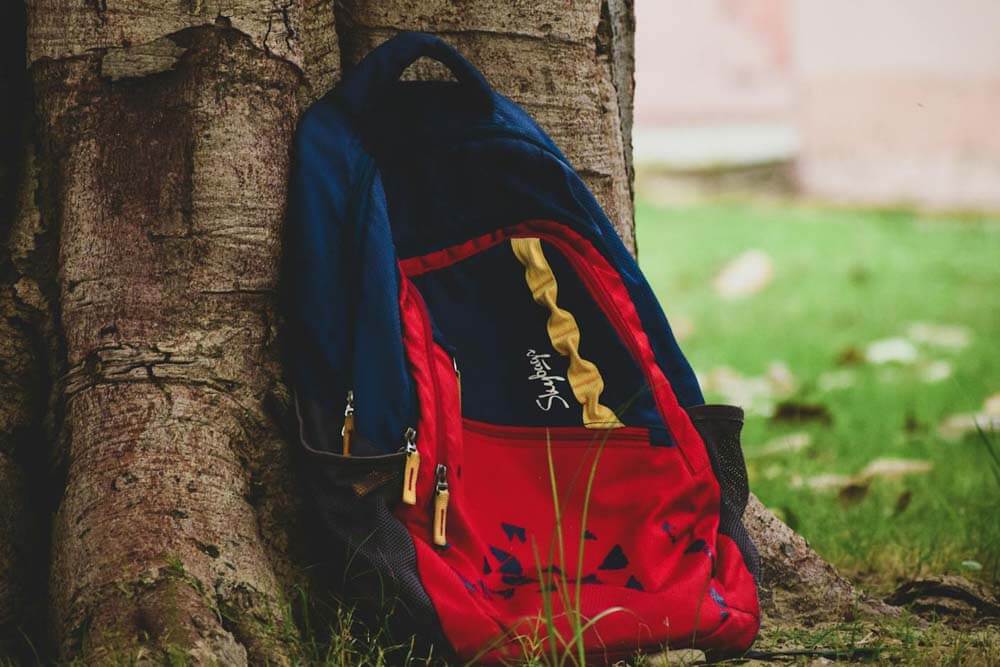 idea-to-hide-sex-toy-backpack